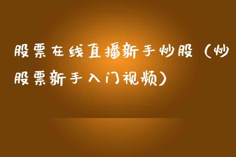 股票在线直播新手炒股（炒股票新手入门视频）_https://www.ltsssb.com_新股数据_第1张