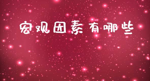 宏观因素有哪些_https://www.ltsssb.com_新股数据_第1张