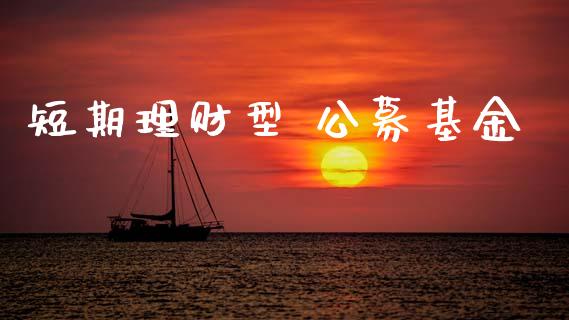 短期理财型 公募基金_https://www.ltsssb.com_基金频道_第1张