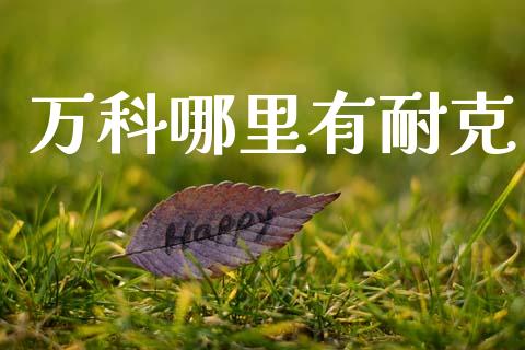 万科哪里有耐克_https://www.ltsssb.com_期货在线_第1张