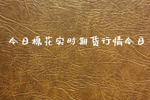 今日棉花实时期货行情今日_https://www.ltsssb.com_期货密码_第1张