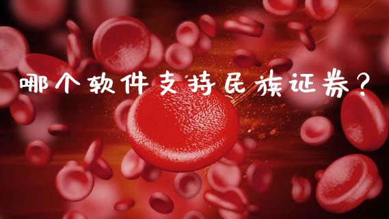 哪个软件支持民族证券？_https://www.ltsssb.com_基金频道_第1张