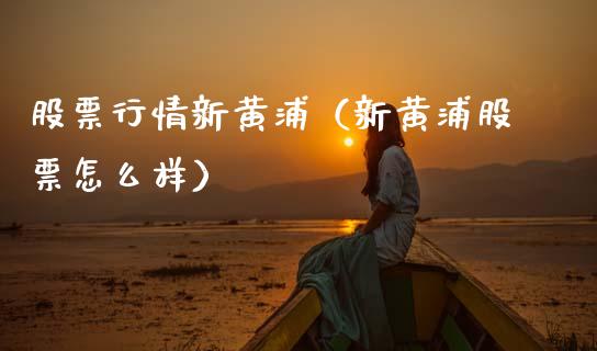 股票行情新黄浦（新黄浦股票怎么样）_https://www.ltsssb.com_股票理论_第1张