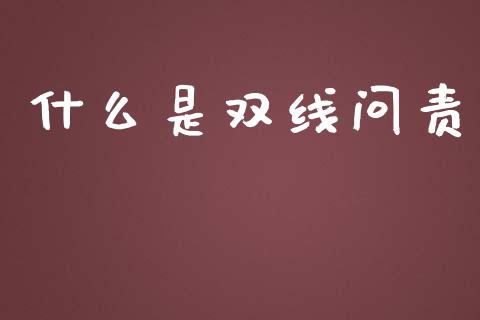 什么是双线问责_https://www.ltsssb.com_国际财经_第1张