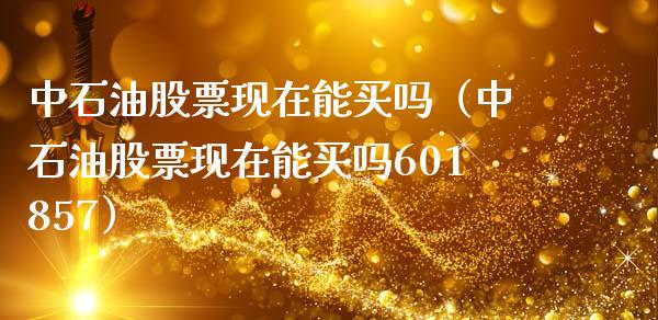 中石油股票现在能买吗（中石油股票现在能买吗601857）_https://www.ltsssb.com_股票理论_第1张