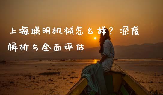 上海联明机械怎么样？深度解析与全面评估_https://www.ltsssb.com_国际财经_第1张
