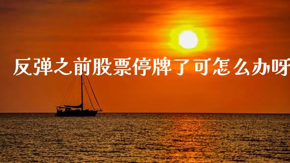 反弹之前股票停牌了可怎么办呀_https://www.ltsssb.com_新股数据_第1张