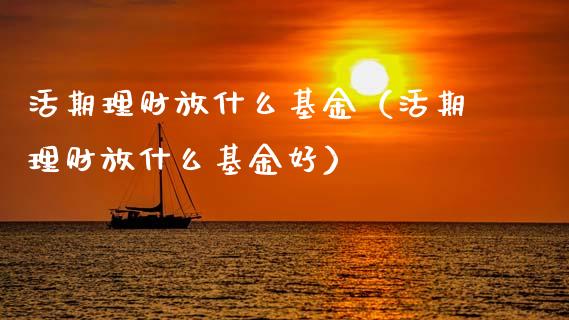 活期理财放什么基金（活期理财放什么基金好）_https://www.ltsssb.com_基金频道_第1张