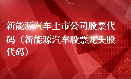 新能源汽车上市公司股票代码（新能源汽车股票龙头股代码）_https://www.ltsssb.com_股票理论_第1张