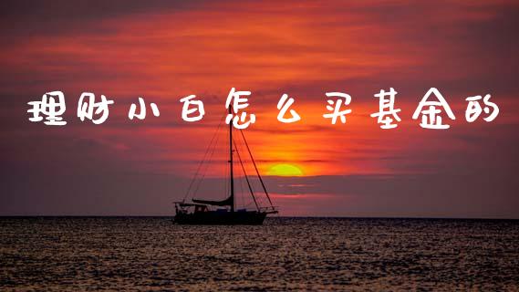 理财小白怎么买基金的_https://www.ltsssb.com_基金频道_第1张