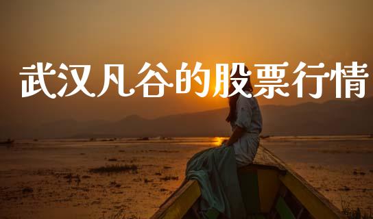 武汉凡谷的股票行情_https://www.ltsssb.com_股市分析_第1张