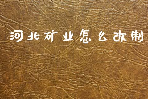 河北矿业怎么改制_https://www.ltsssb.com_股市分析_第1张