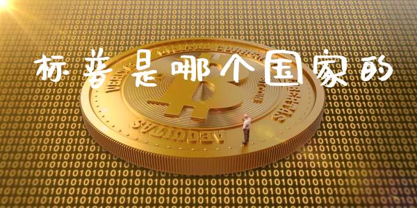 标普是哪个国家的_https://www.ltsssb.com_股市分析_第1张