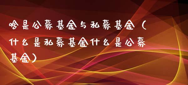 啥是公募基金与私募基金（什么是私募基金什么是公募基金）_https://www.ltsssb.com_国际财经_第1张