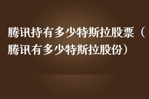 腾讯持有多少特斯拉股票（腾讯有多少特斯拉股份）_https://www.ltsssb.com_新股数据_第1张