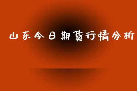 山东今日期货行情分析_https://www.ltsssb.com_期货密码_第1张