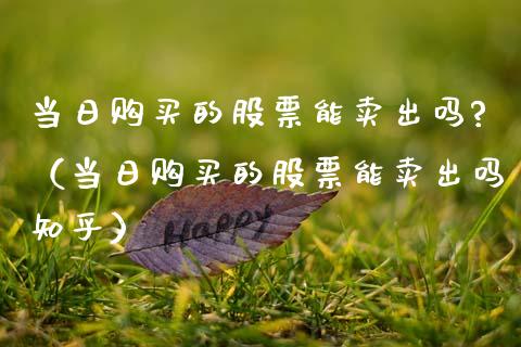 当日购买的股票能卖出吗?（当日购买的股票能卖出吗知乎）_https://www.ltsssb.com_股市分析_第1张