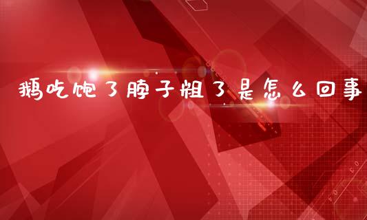 鹅吃饱了脖子粗了是怎么回事_https://www.ltsssb.com_基金频道_第1张