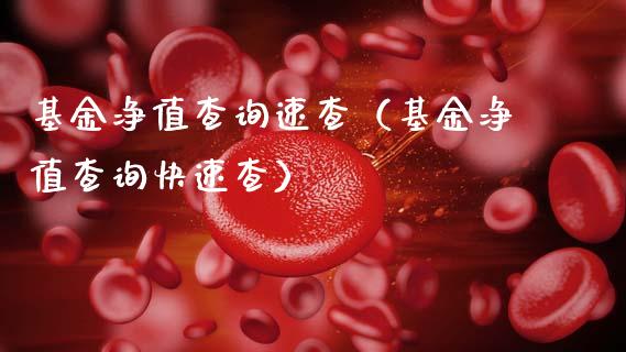 基金净值查询速查（基金净值查询快速查）_https://www.ltsssb.com_国际财经_第1张