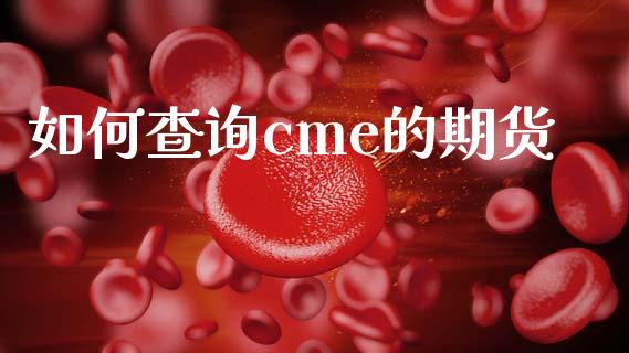如何查询cme的期货_https://www.ltsssb.com_国际财经_第1张