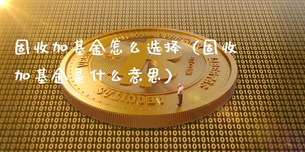 固收加基金怎么选择（固收加基金是什么意思）_https://www.ltsssb.com_基金频道_第1张