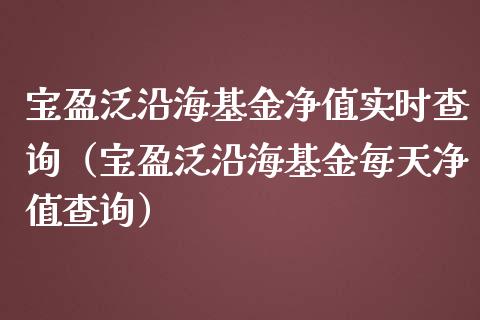 宝盈泛沿海基金净值实时查询（宝盈泛沿海基金每天净值查询）_https://www.ltsssb.com_基金频道_第1张