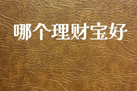 哪个理财宝好_https://www.ltsssb.com_期货行情_第1张
