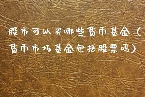 股市可以买哪些货币基金（货币市场基金包括股票吗）_https://www.ltsssb.com_国际财经_第1张