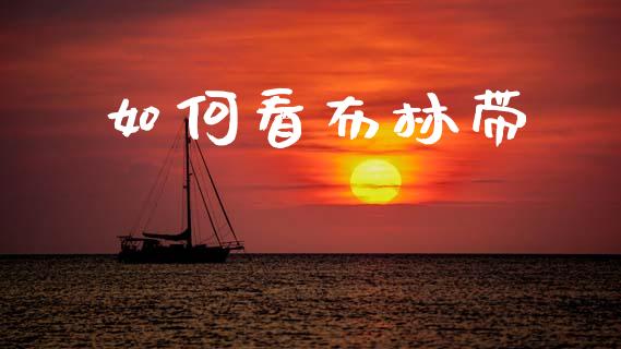 如何看布林带_https://www.ltsssb.com_新股数据_第1张