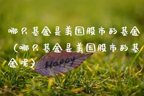 哪只基金是美国股市的基金（哪只基金是美国股市的基金呢）_https://www.ltsssb.com_基金频道_第1张