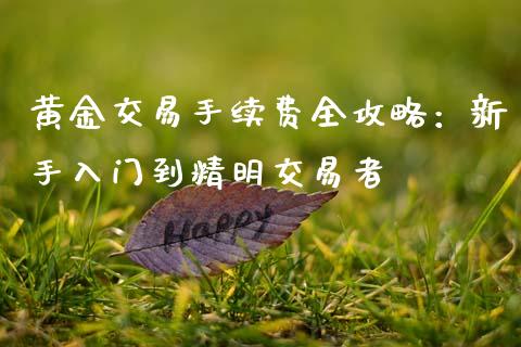 黄金交易手续费全攻略：新手入门到精明交易者_https://www.ltsssb.com_国际财经_第1张
