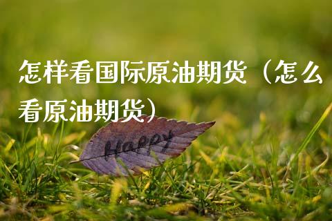 怎样看国际原油期货（怎么看原油期货）_https://www.ltsssb.com_期货密码_第1张
