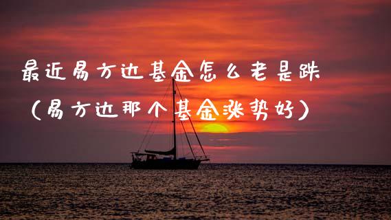 最近易方达基金怎么老是跌（易方达那个基金涨势好）_https://www.ltsssb.com_国际财经_第1张