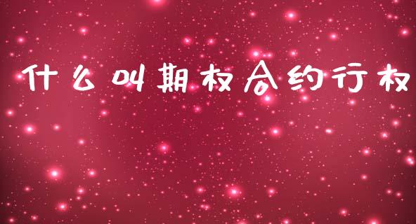 什么叫期权合约行权_https://www.ltsssb.com_期货密码_第1张