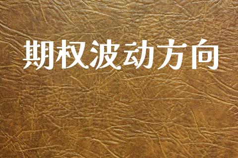 期权波动方向_https://www.ltsssb.com_期货在线_第1张