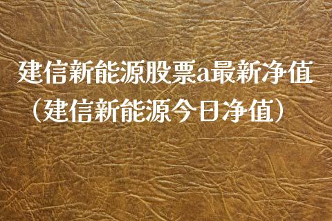 建信新能源股票a最新净值（建信新能源今日净值）_https://www.ltsssb.com_股票理论_第1张