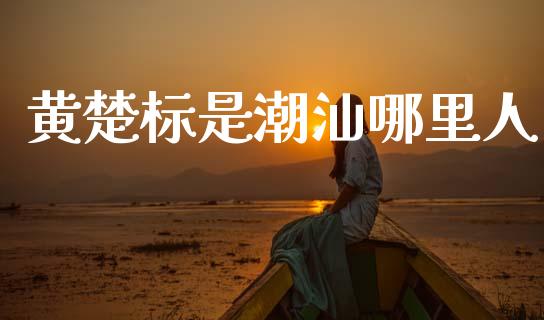 黄楚标是潮汕哪里人_https://www.ltsssb.com_新股数据_第1张