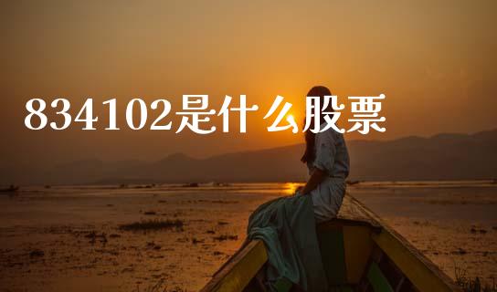 834102是什么股票_https://www.ltsssb.com_基金频道_第1张