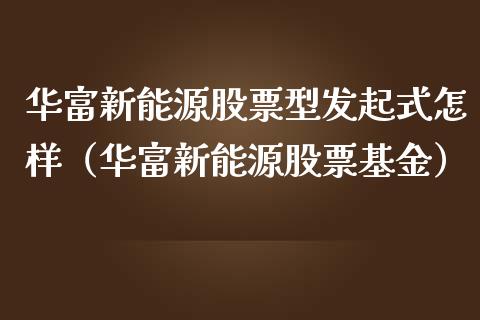 华富新能源股票型发起式怎样（华富新能源股票基金）_https://www.ltsssb.com_新股数据_第1张