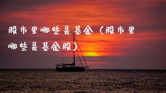 股市里哪些是基金（股市里哪些是基金股）_https://www.ltsssb.com_国际财经_第1张