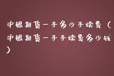 沪银期货一手多少手续费（沪银期货一手手续费多少钱）_https://www.ltsssb.com_期货密码_第1张