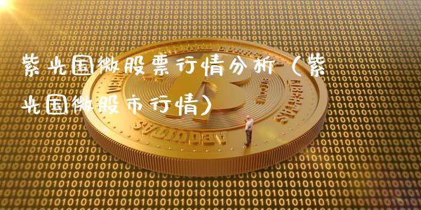 紫光国微股票行情分析（紫光国微股市行情）_https://www.ltsssb.com_股市分析_第1张