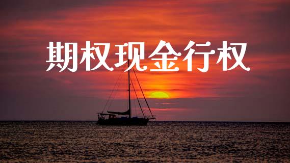 期权现金行权_https://www.ltsssb.com_国际财经_第1张