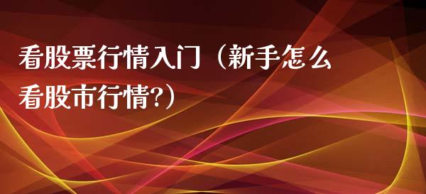看股票行情入门（新手怎么看股市行情?）_https://www.ltsssb.com_股市分析_第1张