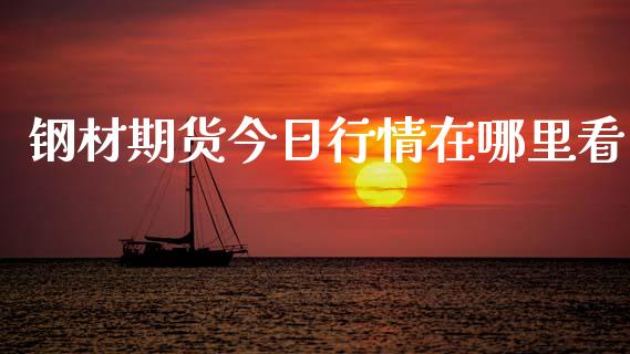钢材期货今日行情在哪里看_https://www.ltsssb.com_期货行情_第1张