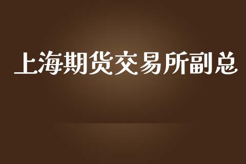 上海期货交易所副总_https://www.ltsssb.com_股票理论_第1张