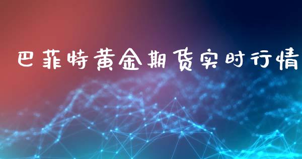巴菲特黄金期货实时行情_https://www.ltsssb.com_期货密码_第1张