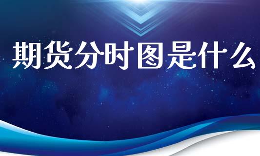 期货分时图是什么_https://www.ltsssb.com_新股数据_第1张