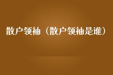 散户领袖（散户领袖是谁）_https://www.ltsssb.com_期货密码_第1张