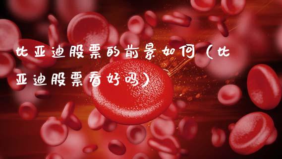 比亚迪股票的前景如何（比亚迪股票看好吗）_https://www.ltsssb.com_股市分析_第1张